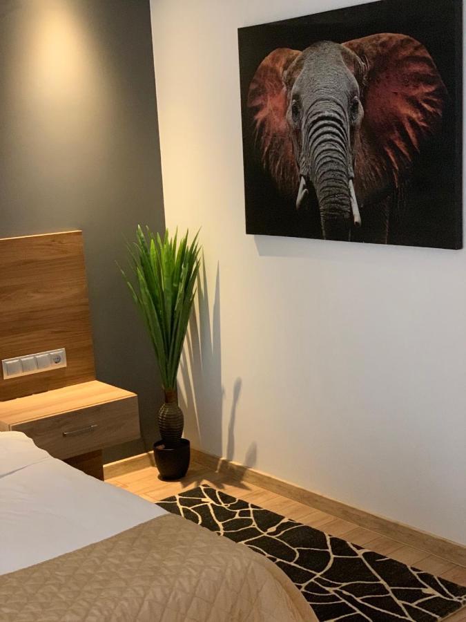 Hotel Calipso Hotel 소피아 외부 사진